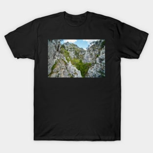 Rocky trail on mountains T-Shirt